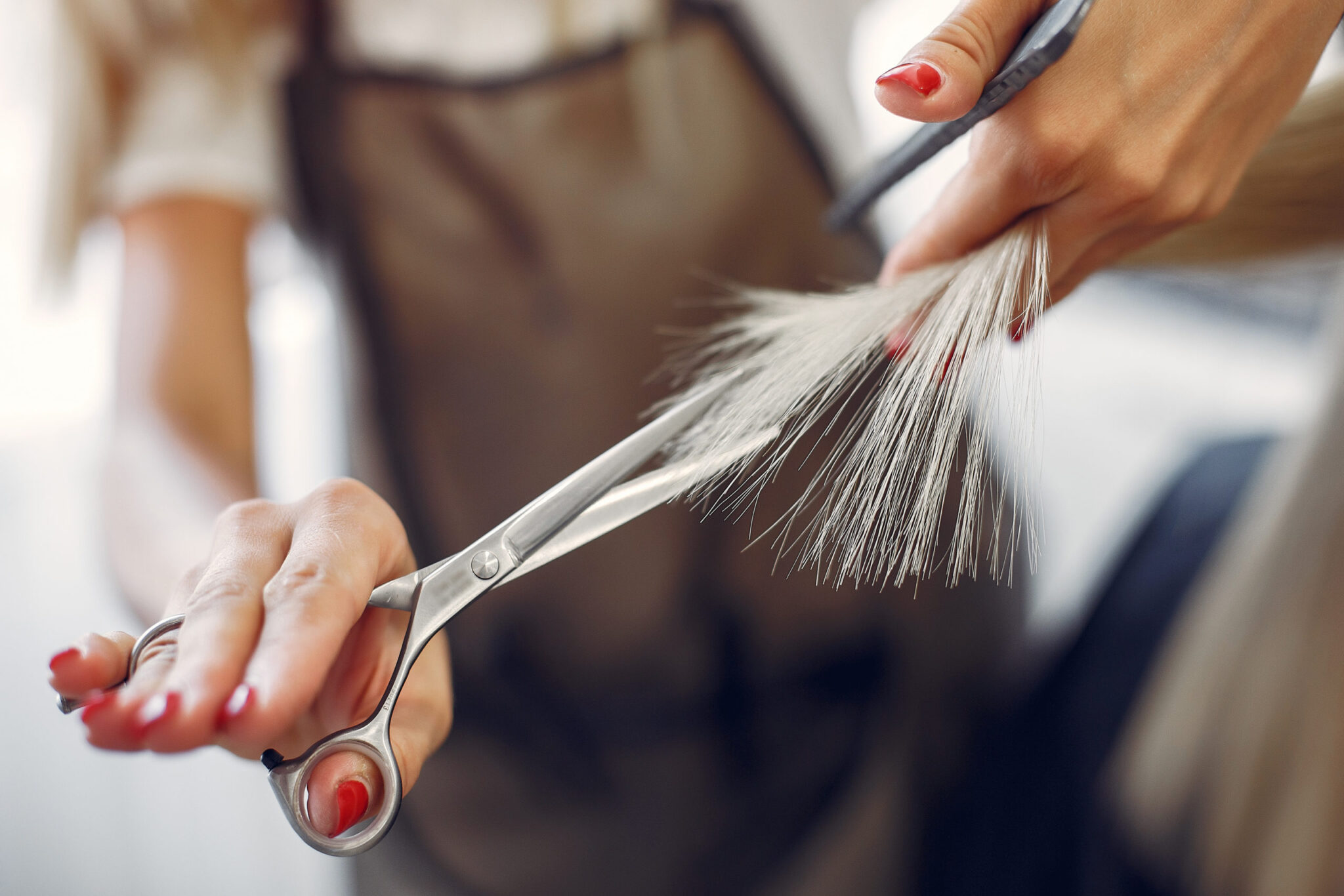 franquicias de peluqueria